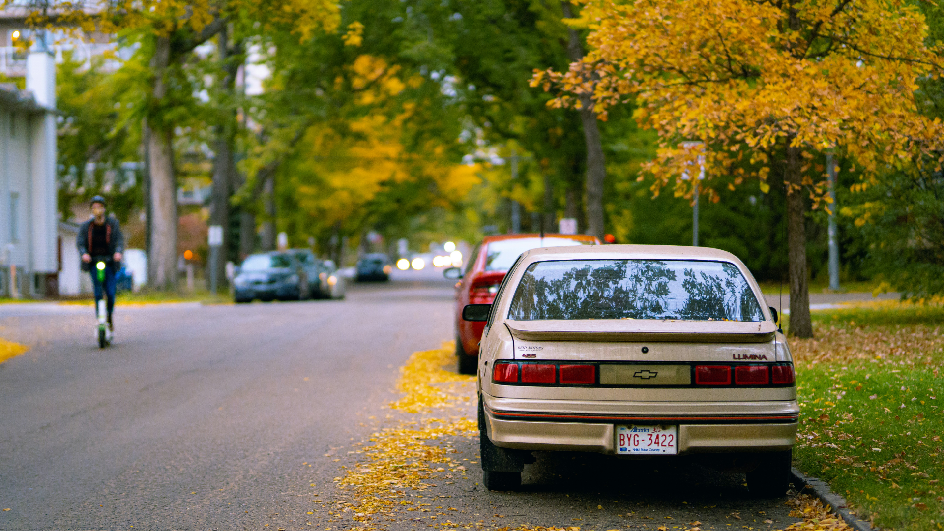 traffic lawyer Edmonton